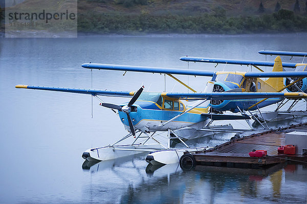 Reihe von Wasserflugzeugen  die an der Tikchik Narrows Lodge angedockt sind  Tikchik Lake  Wood-Tikchik State Park  Südwest-Alaska  USA