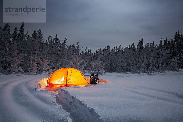 Beleuchtetes Zelt im Tiefschnee in der Nähe eines Fichtenwaldes in einer mondhellen Nacht  Copper River Valley  Southcentral Alaska  USA
