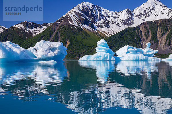 Eisberge und Berge spiegeln sich im Frühsommer in der Bear Glacier Lagoon im Kenai Fjords National Park.