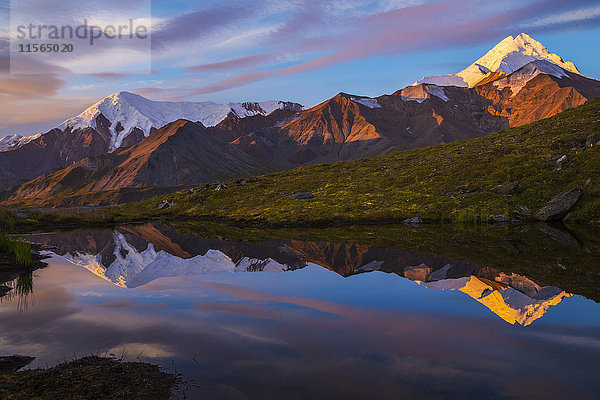 Mount Hayes spiegelt sich bei Sonnenaufgang in einem Teich  gesehen von einem abgelegenen Gebiet in der Nähe des Hayes-Gletschers in der Alaska Range; Alaska  Vereinigte Staaten von Amerika'.