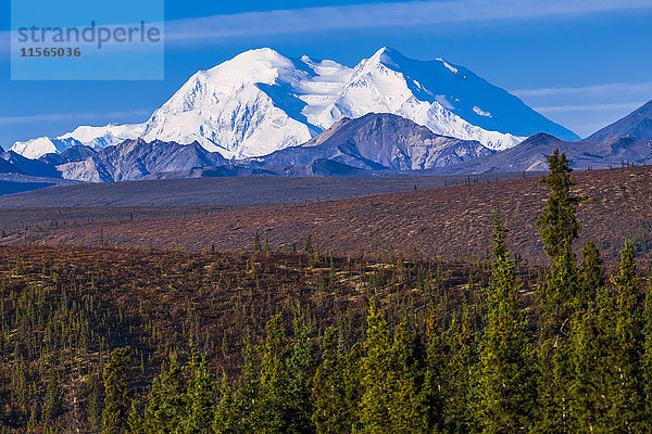 Blick auf Denali von dem für die Öffentlichkeit zugänglichen Teil der Parkstraße im Denali National Park; Alaska  Vereinigte Staaten von Amerika'.