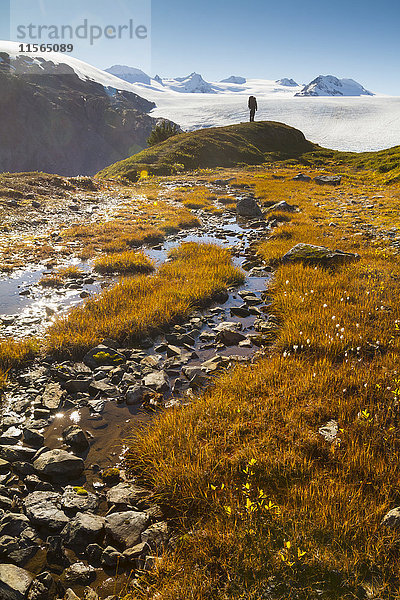 Wanderer auf einer Anhöhe mit Exit-Gletscher im Hintergrund und einem Bach im Vordergrund  Kenai-Halbinsel  Süd-Zentral-Alaska  USA