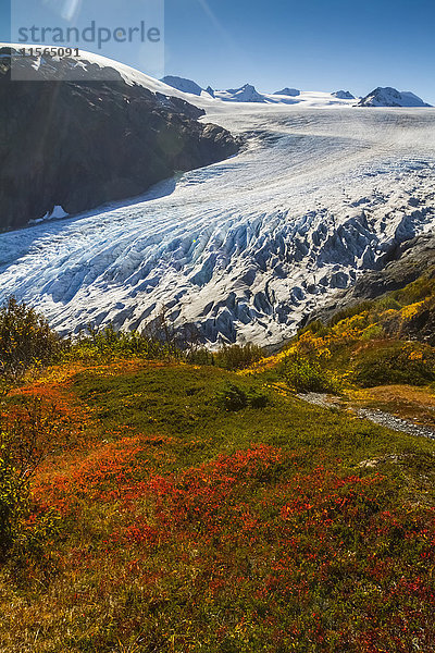 Exit Glacier in der Nähe von Seward  Alaska in Süd-Zentral-Alaska im Herbst; Alaska  Vereinigte Staaten von Amerika'.