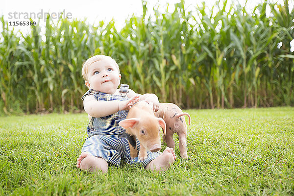Kleiner Junge spielt mit kleinen Schweinen auf einer Farm im Nordosten von Iowa im Sommer; Iowa  Vereinigte Staaten von Amerika'.