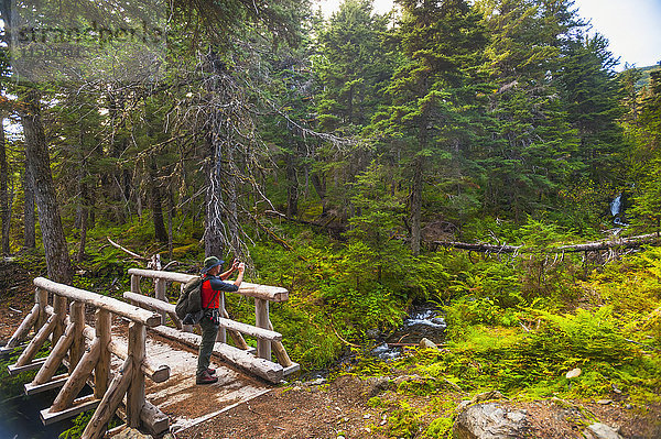 Ein Mann wandert an einem Sommertag über eine Holzbrücke auf dem Turnagain Pass Trail im Chugach National Forest  Süd-Zentral-Alaska; Alaska  Vereinigte Staaten von Amerika'.