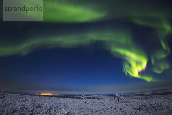 Das Polarlicht leuchtet über einer mit Raureif bedeckten Landschaft und den fernen Lichtern von Fort Greely; Alaska  Vereinigte Staaten von Amerika'.