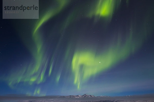 Das Polarlicht bildet Vorhänge über dem Granite Mountain  südöstlich von Delta Junction; Alaska  Vereinigte Staaten von Amerika'.