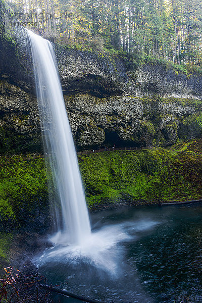 South Falls stürzt über die Klippen im Silver Falls State Park; Silverton  Oregon  Vereinigte Staaten von Amerika'.