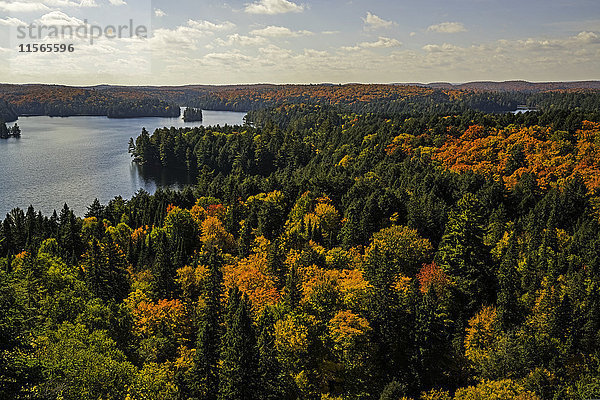 Herbstfarben im Algonquin Park; Ontario  Kanada'.