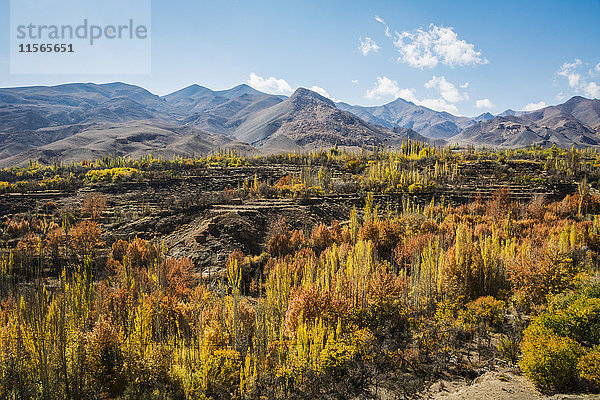 Landwirtschaftliche Terrassen im Karkas-Gebirge; Isfahan  Iran .