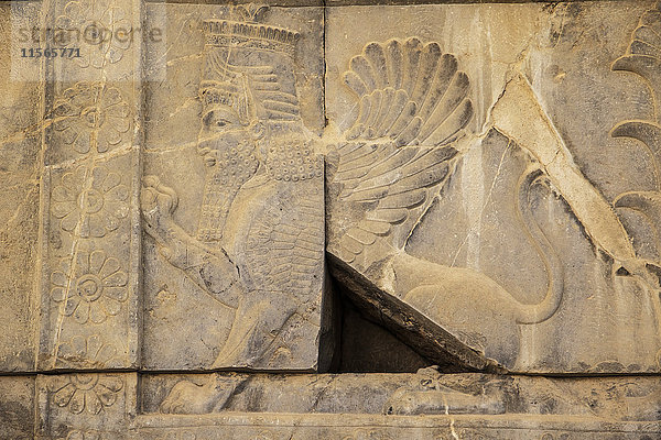 Flachrelief eines Lamassu (geflügelter Löwe) auf der Osttreppe der Apadana oder Audienzhalle von Darius I.  Persepolis; Provinz Fars  Iran