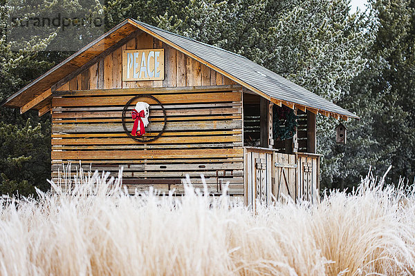 Feiertagsdekoration am Holzschuppen  Weihnachtszeit; Minnesota  Vereinigte Staaten von Amerika'.