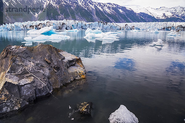 Ein großer Felsbrocken liegt in einer Lagune mit mehreren Eisbergen  die von der Wand des Bear Glacier (im Hintergrund) im Kenai Fjords National Park (Alaska  Vereinigte Staaten von Amerika) gekalbt wurden.