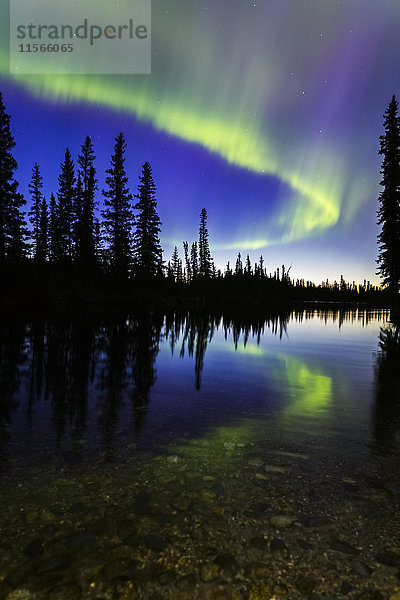 Das Polarlicht spiegelt sich im Clearwater River in Delta Junction kurz vor Sonnenaufgang; Alaska  Vereinigte Staaten von Amerika'.
