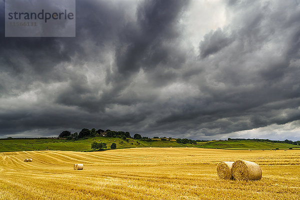 Dunkle Gewitterwolken ziehen über ein goldenes Farmfeld mit Heuballen; Ravensworth  North Yorkshire  England
