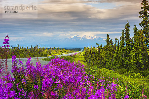 Aussicht auf den Glenn Highway und Mt. Drum im Sommer  Southcentral Alaska  USA