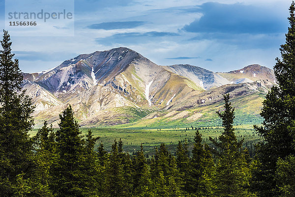 Ein malerischer Blick auf die Alaska Range im Denali National Park in der Nähe des Savage River an einem Sommertag in Süd-Zentral-Alaska; Alaska  Vereinigte Staaten von Amerika'.