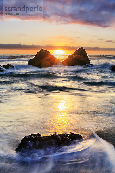 False Klamath Cove Beach  Redwood National and State Parks; Kalifornien  Vereinigte Staaten von Amerika'.