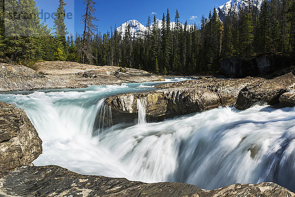 Rauschender Fluss mit felsigen Ufern und Wasserfällen mit schneebedeckten Bergen und blauem Himmel im Hintergrund; Field  British Columbia  Kanada'.