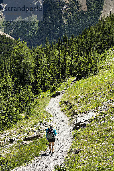 Wanderin auf Schotterweg an Berghang mit bewaldetem Berg im Hintergrund; Waterton  Alberta  Kanada'.