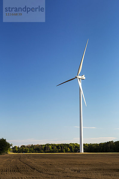 Große Metallwindmühle in einem abgeschnittenen Getreidefeld mit blauem Himmel; Ontario  Kanada'.