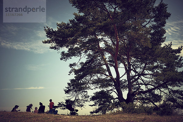 Menschen beim Picknick unter einem Baum