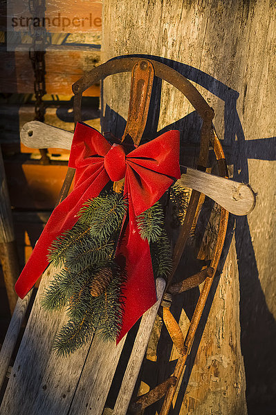 Feiertagsdekoration auf einem alten Schlitten während der Weihnachtszeit; Minnesota  Vereinigte Staaten von Amerika'.