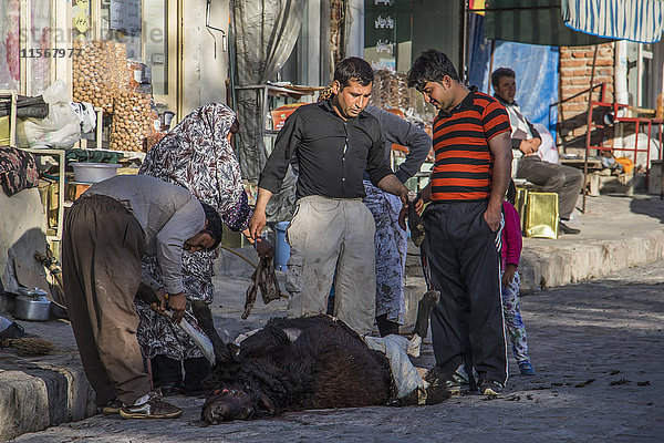 Menschen häuten ein Schaf; Kandovan  Ost-Azarbaijan  Iran'.