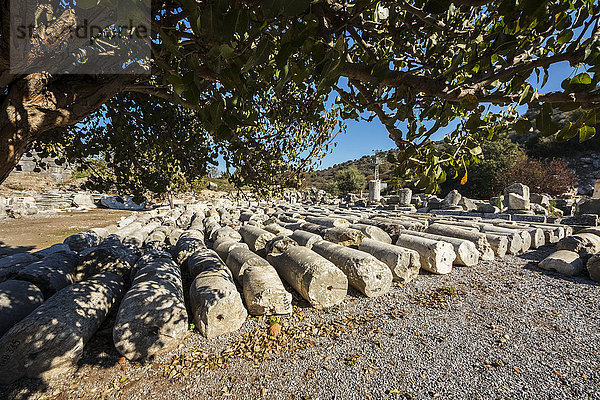 Marmorplatten und Kolonnaden entlang der Hafenstraße; Ephesus  Izmir  Türkei .