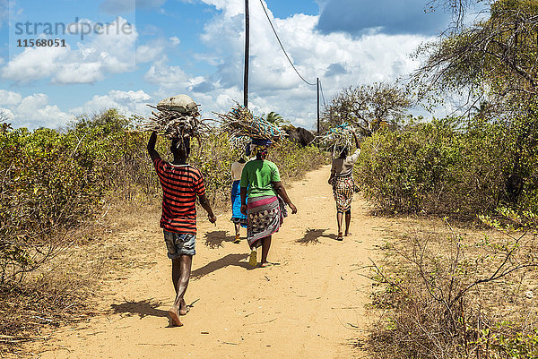 Einheimische tragen Holz auf der Insel Ibo  Quirimbas-Nationalpark; Cabo Delgado  Mosambik'.
