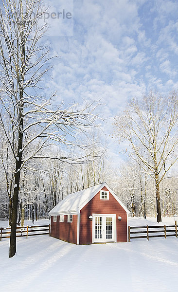 USA  New Jersey  Hütte im verschneiten Wald