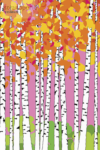 Abstraktes Muster von Birken mit Herbstlaub
