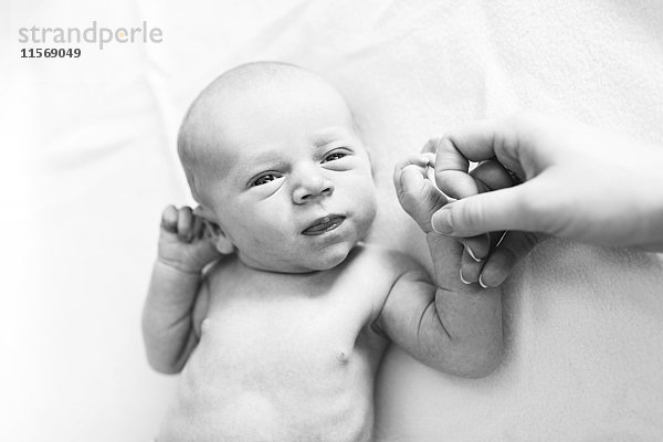 Porträt eines neugeborenen Jungen (0-1 Monate)  der die Hand seiner Mutter hält