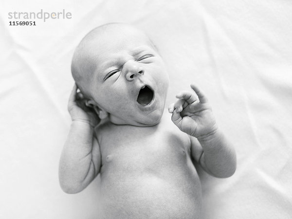 Porträt eines neugeborenen Jungen (0-1 Monate)  der gähnt
