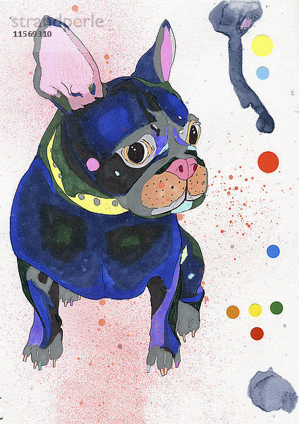 Gemälde einer französischen Bulldogge