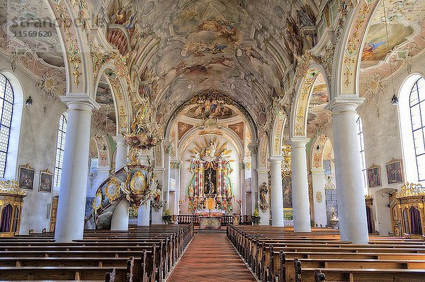 Katholische Pfarrkirche St. Gallus und Ulrich  Kißlegg  Baden-Württemberg  Deutschland  Europa
