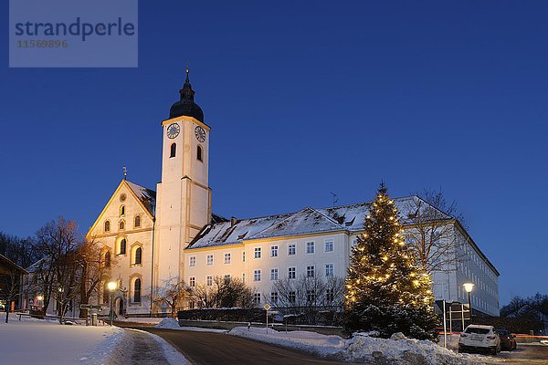 Beleuchteter Weihnachtsbaum vor der Klosterkirche Dietramszell  Dämmerung  Oberbayern  Bayern  Deutschland  Europa