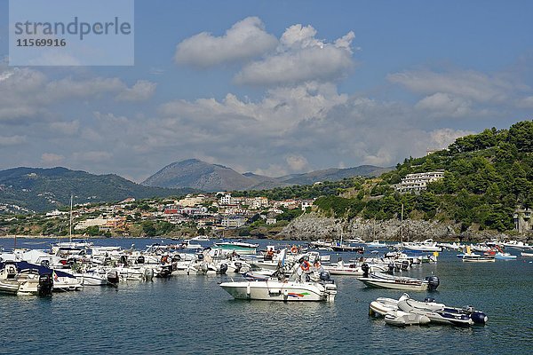 Hafen mit Booten  Palinuro  Cilento Nationalpark  Parco Nazionale Cilento  Vallo Diano e Alburni  Provinz Salerno  Kampanien  Italien  Europa