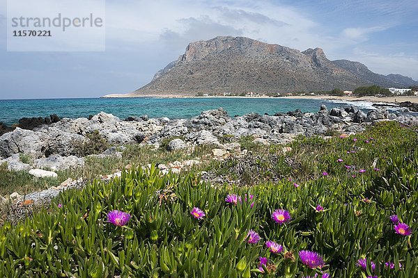 Strand  in der Nähe der Taverna Thanasis  Stavros  Akrotiri-Halbinsel  Kreta  Griechenland  Europa