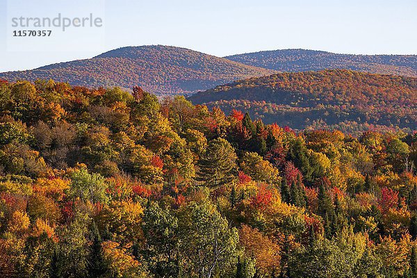 Herbstfarben  Laub-Nadelmischwald  Eastern Townships  West Bolton  Quebec  Kanada  Nordamerika