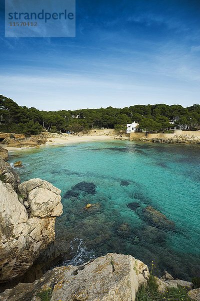 Bucht mit türkisfarbenem Wasser  Cala Gat  Cala Ratjada  Mallorca  Balearische Inseln  Spanien  Europa