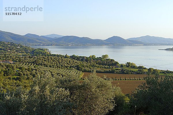 Blick auf den Trasimeno-See  in der Nähe von Torricella  Ostufer  Umbrien  Italien  Europa