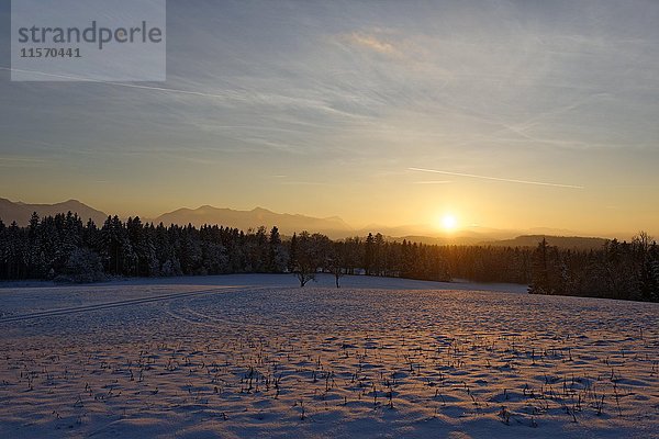 Sonnenuntergang im Winter  Nantesbuch  Bad Heilbrunn  Voralpen  Oberbayern  Bayern  Deutschland  Europa