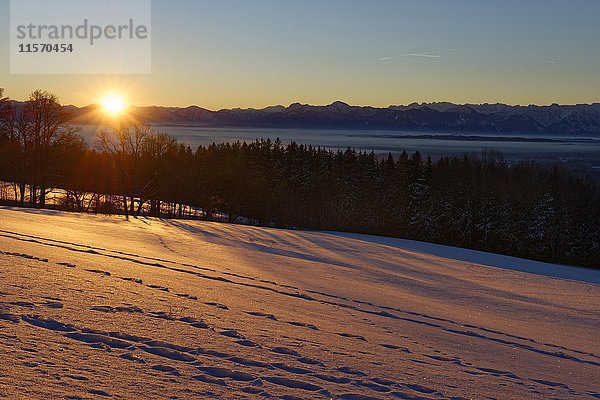 Sonnenaufgang im Winter  Blick vom Hohenpeißenberg mit Ammergauer Alpen  Region Pfaffenwinkel  Oberbayern  Bayern  Deutschland  Europa