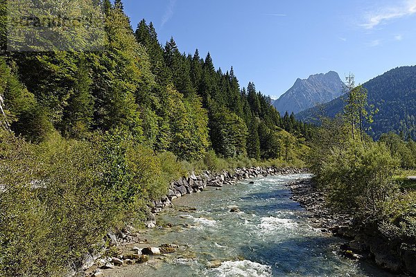 Rißbach  Eng  Hinterriss  Karwendel  Tirol  Österreich  Europa
