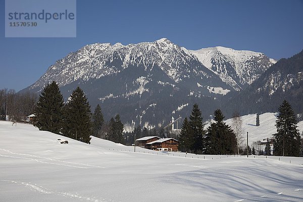 Nebelhorn im Winter  in der Nähe von Oberstdorf  Allgäuer Alpen  Allgäu  Bayern  Deutschland  Europa