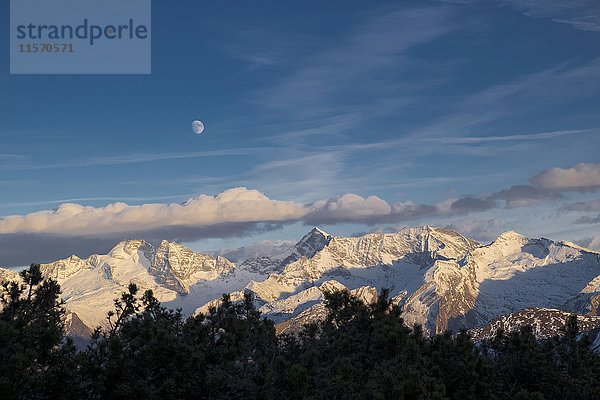 Verschneite Zillertaler Alpen mit Mond im Winter  Olperer Berge  Fußstein  Kraxentrager  Wipptal  Tirol  Österreich  Europa