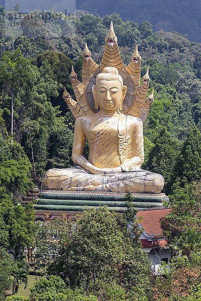 Buddhavas Arena  Wat Bang Riang  Buddhistische Tempelanlage  Phang-Nga  Thailand  Asien