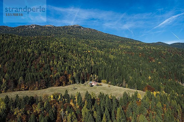 Bergwald am Panarotta im Herbst  bei Levico Therme  Valsugana  Provinz Trentino  Italien  Europa