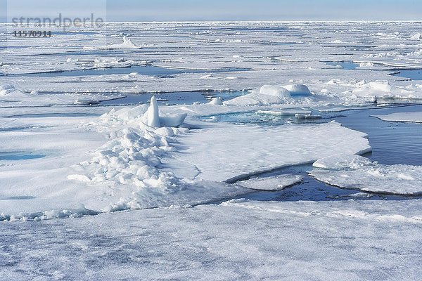 Packeis  Arktischer Ozean  Spitzbergen  Svalbard-Archipel  Norwegen  Europa